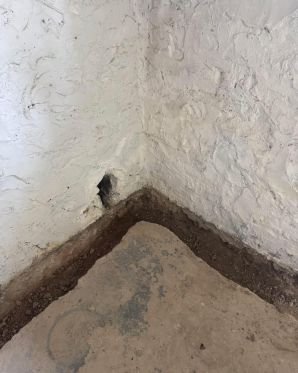 Basement Waterproofing Services in Brooklyn, NY (1)