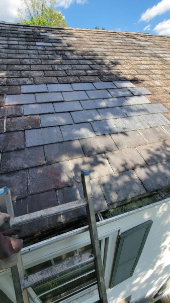 Roof Repair in East Flatbush, NY (3)